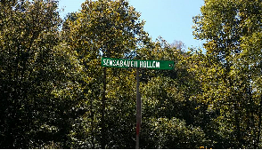 (Road sign for Sensabaugh Hollow Road.)