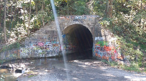 (Sensabaugh Tunnel, road entrance. Crybaby Pool is to the lower left.)