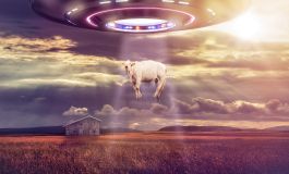 Slow Train Coming: The Continuing Religious/UFO Odyssey of Dr. Barry Downing