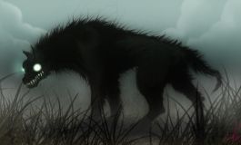 Black Dog
