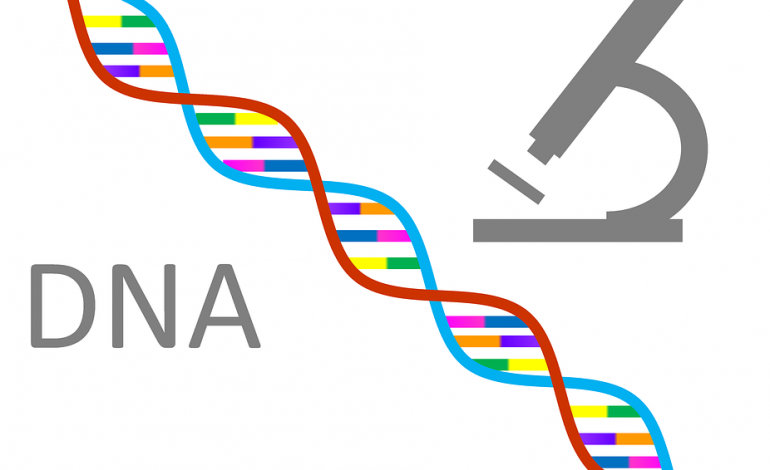 Non Coding DNA And Why IT Exists Within The Human Body