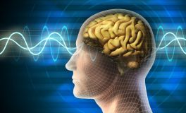 How My Consciousness Has Been Affected By The Paradigm Shift.