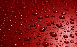 Weird Rains: Strange Things Falling from the Sky!