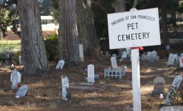 Animal Afterlife - Do They Come Back After Death?