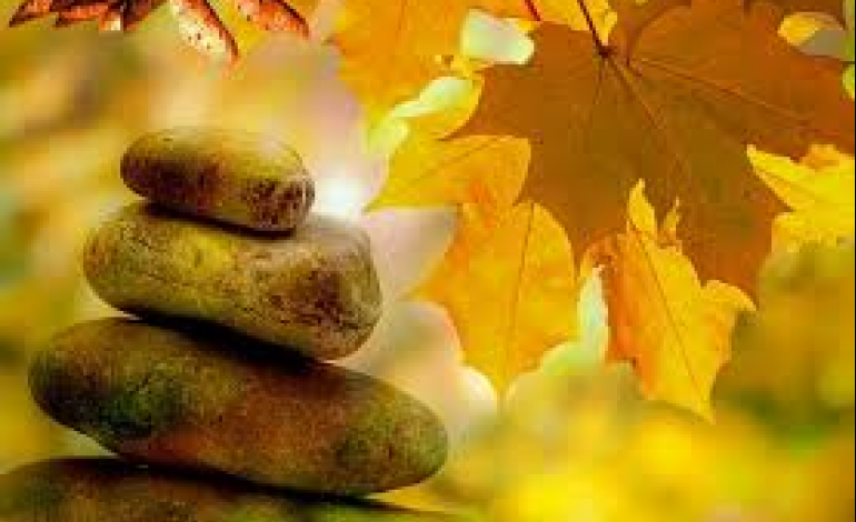 Meditation: The Human Element