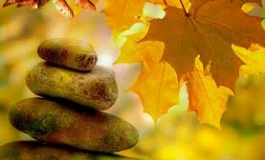 Meditation: The Human Element