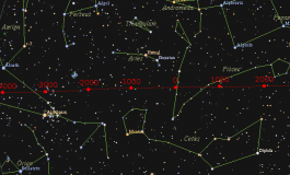 Celebrity Astrologer Charts Future, Explains Past “Everything in life is an experience.“Lynne Palmer