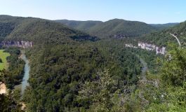 Night Screams - Strange Happenings in the woods of Piney Flats, TN.