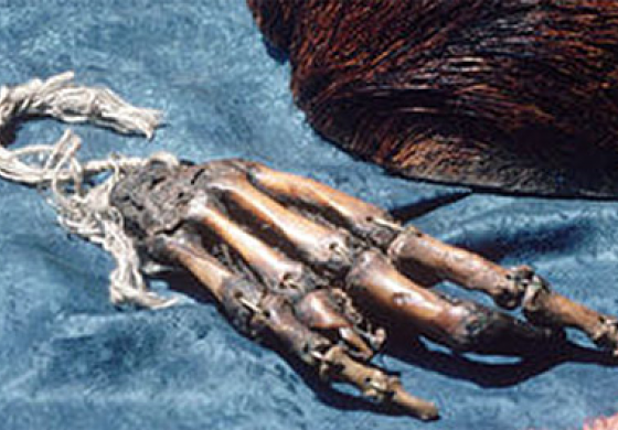 The Pangboche Hand